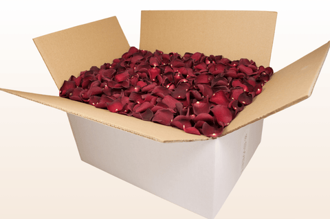 24 litre box