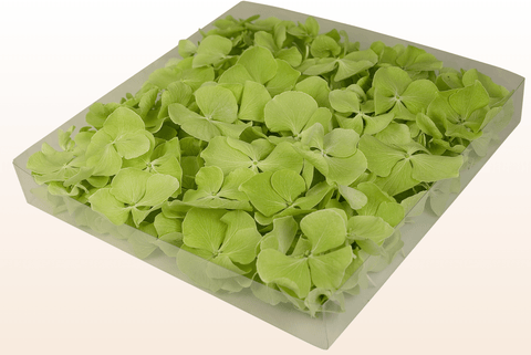 1 litre box