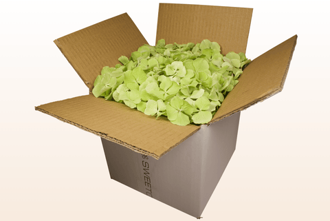 8 litre box