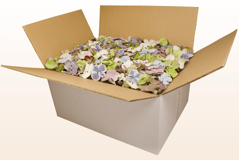 24 litre box