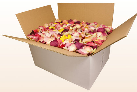 24 litre box