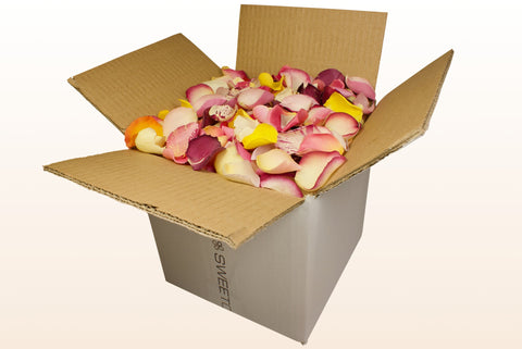8 litre box