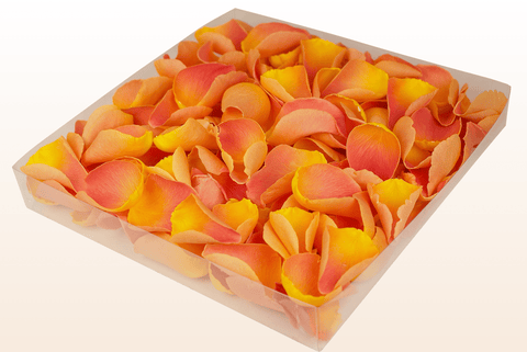 1 litre box