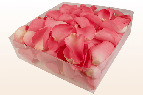 2 litre box