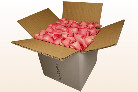 8 litre box