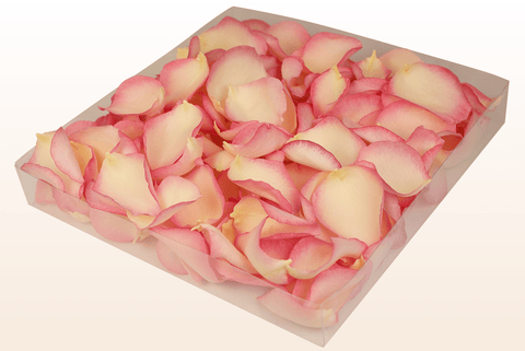 1 litre box