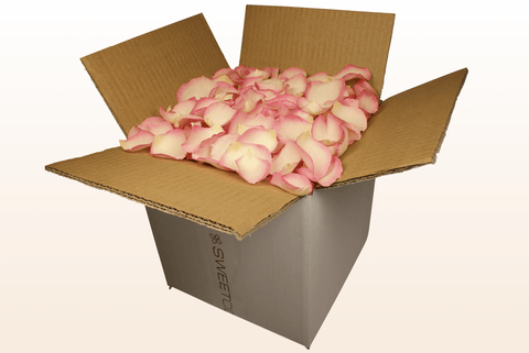 8 litre box