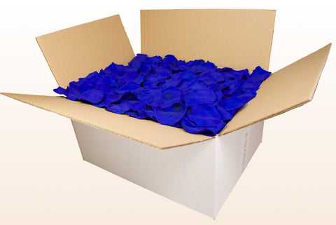 24 litre box