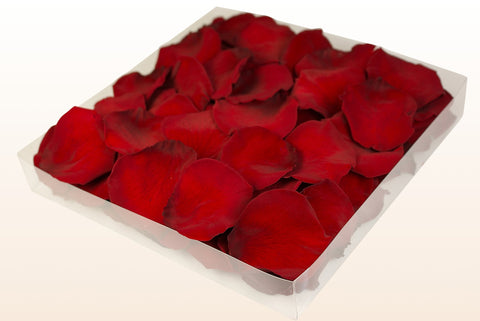 1 litre box