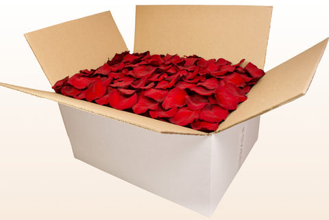 24 litre box