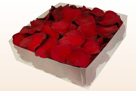 2 litre box
