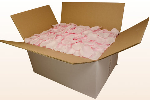 24 litre box