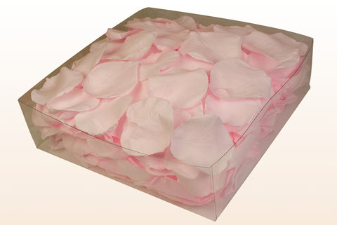 2 litre box