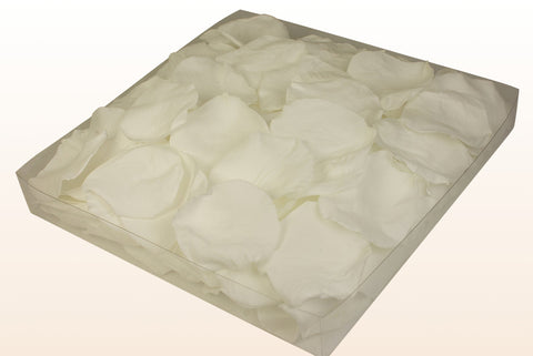 1 litre box