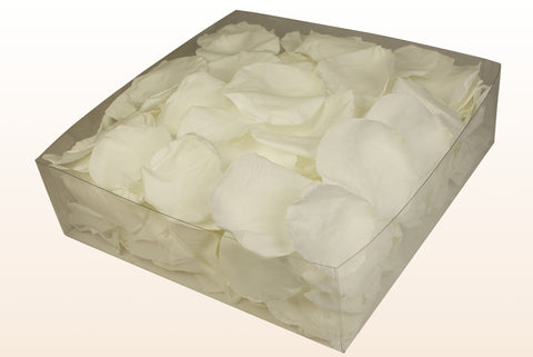 2 litre box