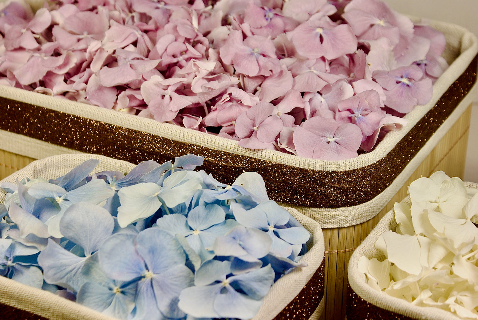 Rose petals