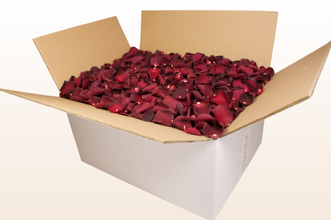 24 litre box