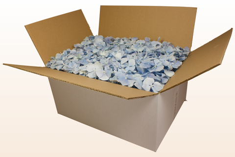 24 litre box