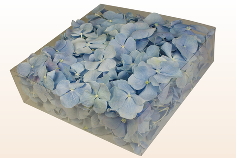 2 litre box