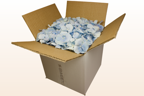 8 litre box