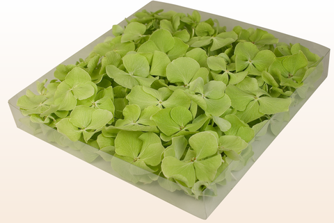 1 litre box