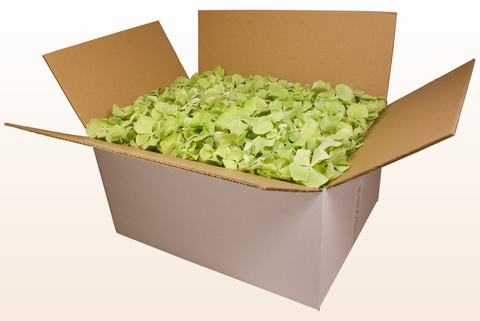 24 litre box
