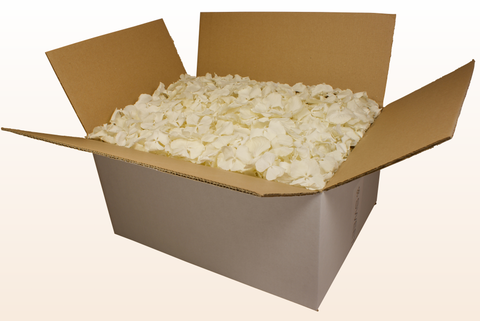 24 litre box