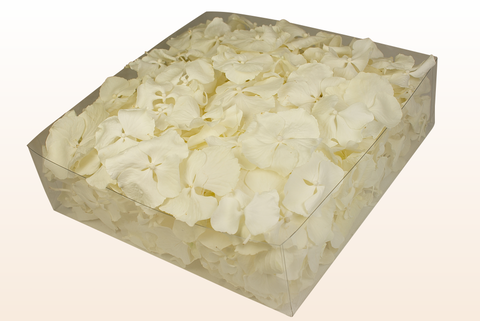2 litre box