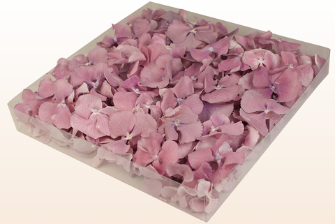 1 litre box
