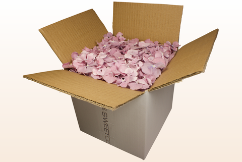 8 litre box