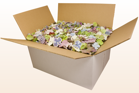 24 litre box