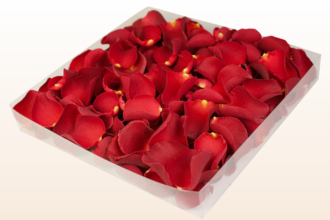 1 litre box