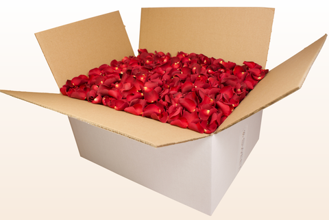 24 litre box