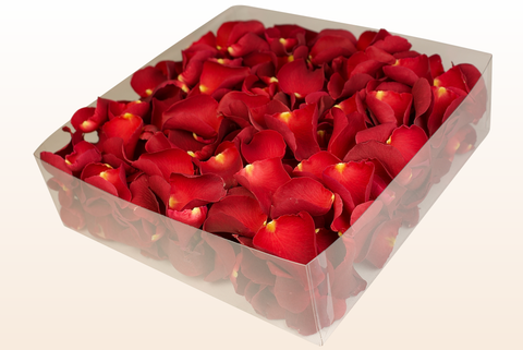 2 litre box