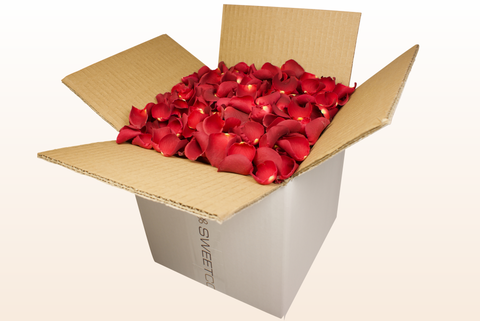 8 litre box