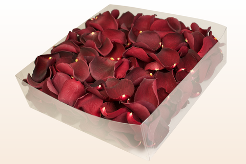 2 litre box