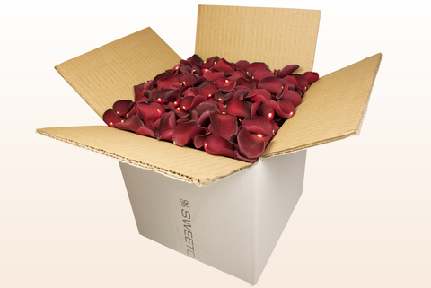 8 litre box