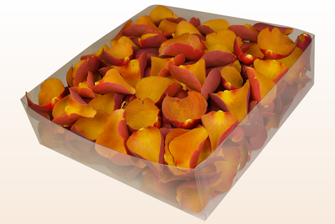 2 litre box