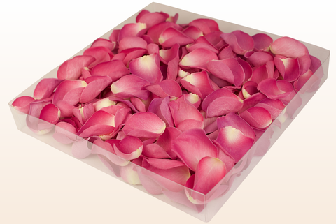 1 litre box