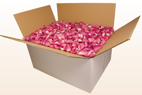 24 litre box