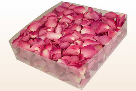 2 litre box