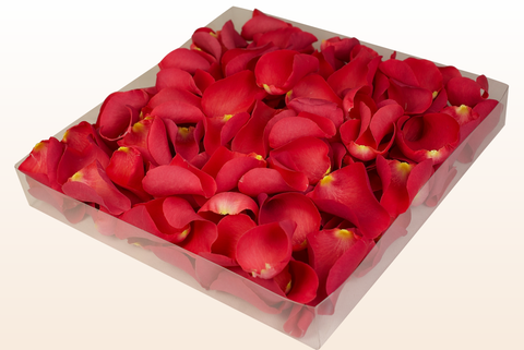 1 litre box