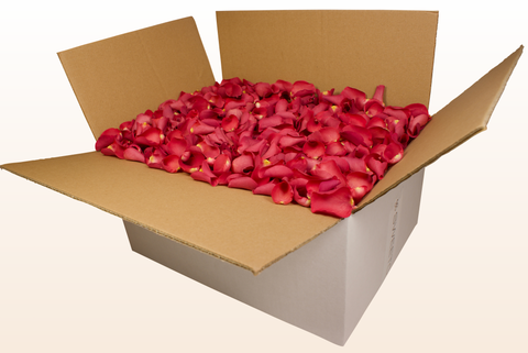 24 litre box