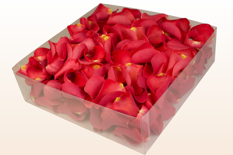 2 litre box
