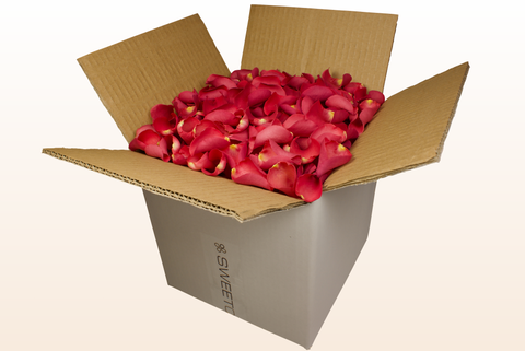 8 litre box