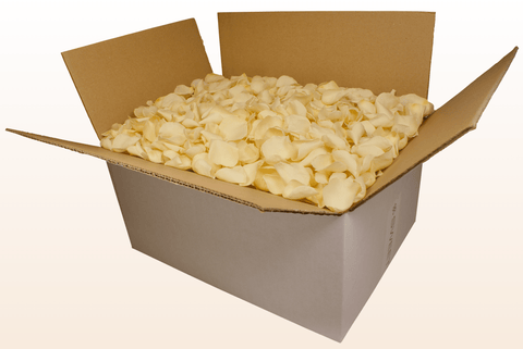 24 litre box