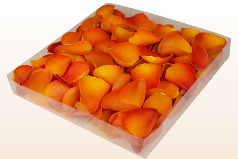 1 litre box
