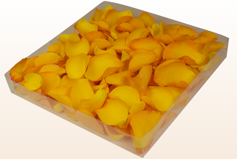 1 litre box