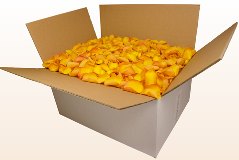 24 litre box