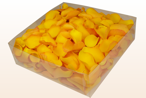 2 litre box